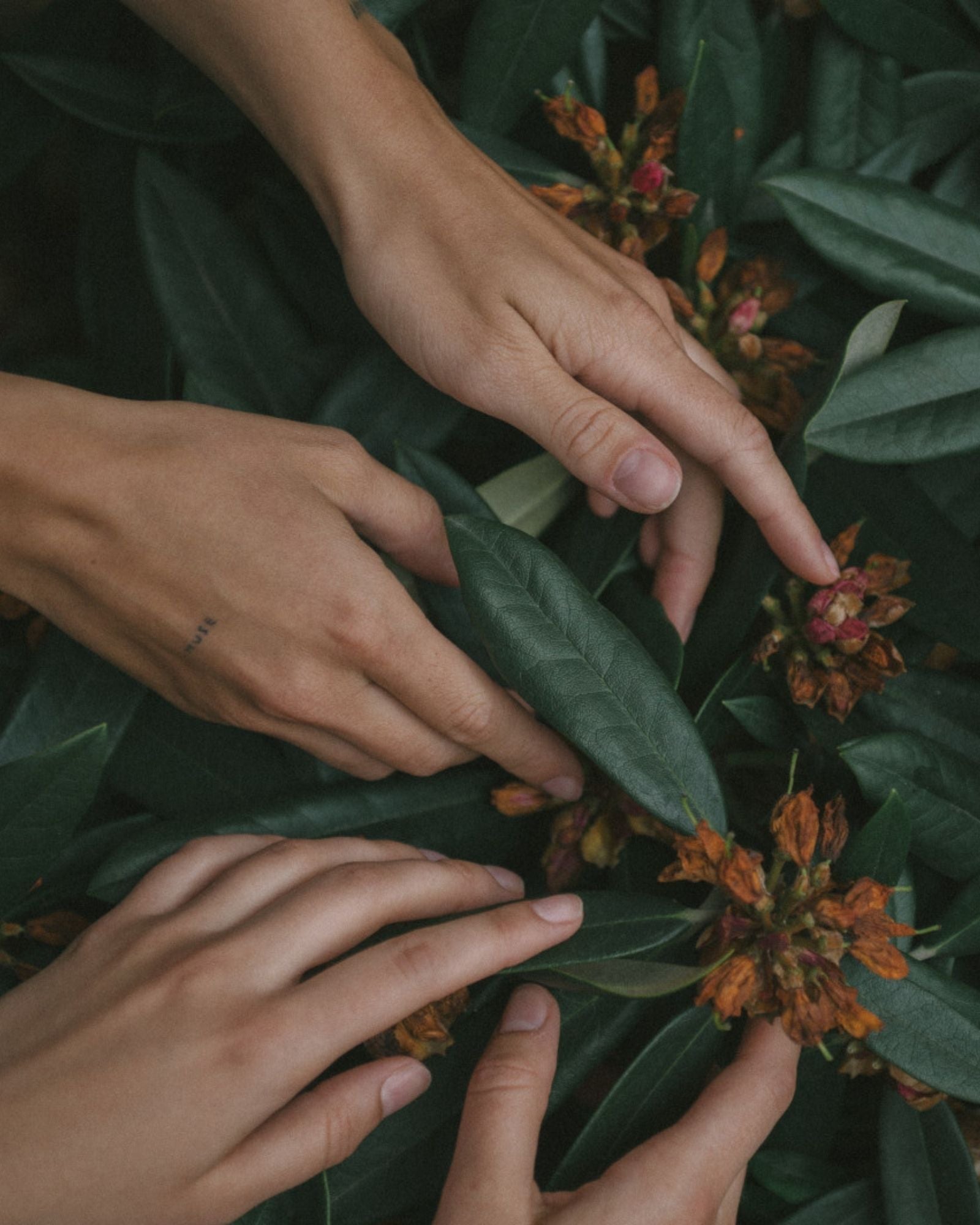 Manos de terapeuta sobre un rostro