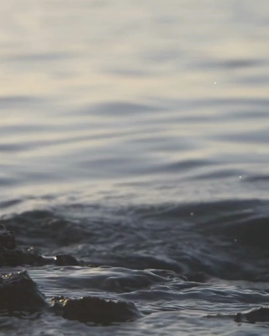 El camino de regreso al origen